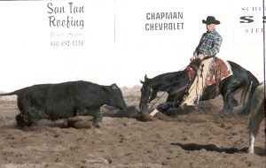 Brian Spider cow AZ.jpg (48525 bytes)