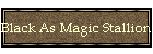 Black As Magic Stallion