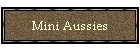 Mini Aussies