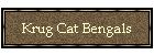 Krug Cat Bengals