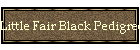 Little Fair Black Pedigree